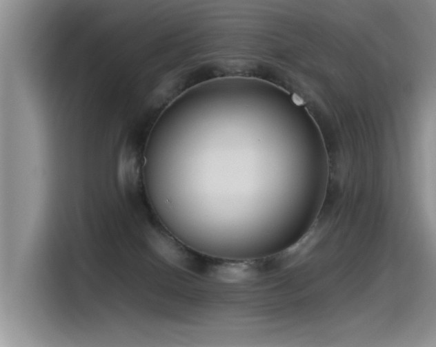 X0000115510086200911061406