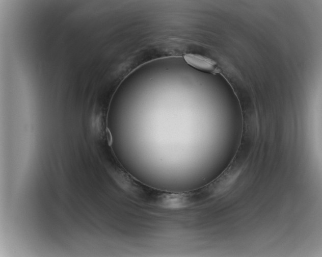 X0000115510088200911061406