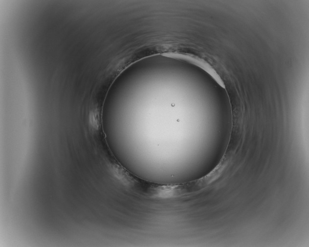 X0000115510090200911061406