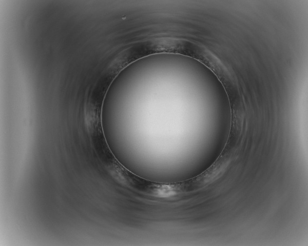 X0000115510091200911061406