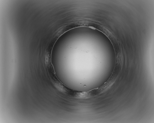 X0000115510092200911061406