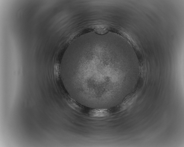 X0000115510093200911061406