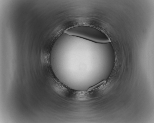 X0000115510096200911061406