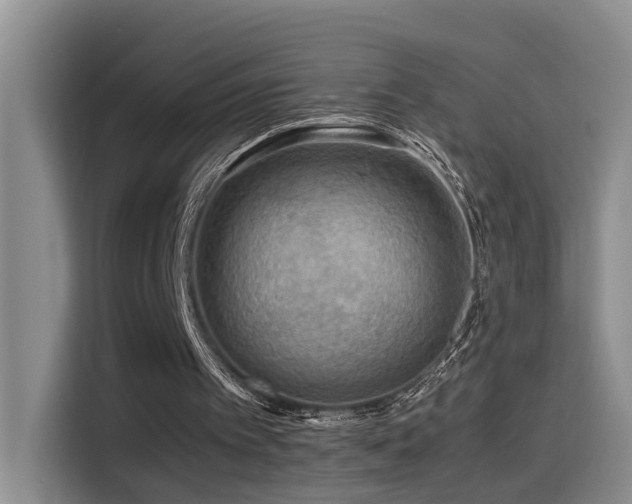 X0000115510097200911061405