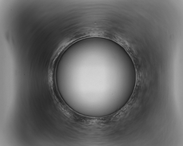 X0000115510098200911061405