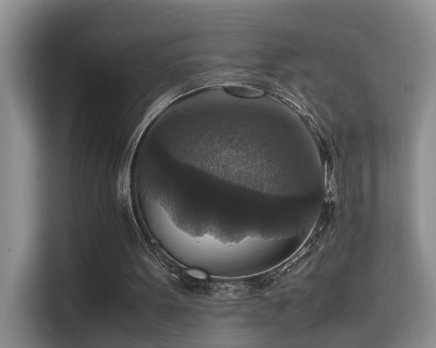 X0000115510099200911061405