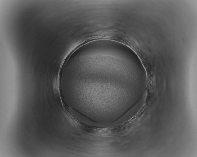 X0000115510100200911061405