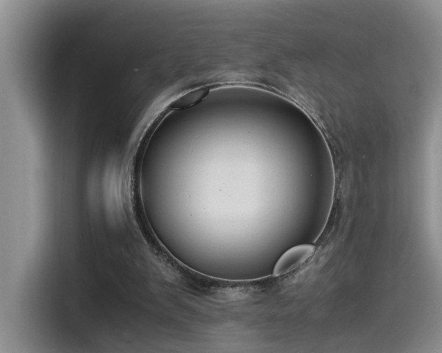 X0000115510103200911061405