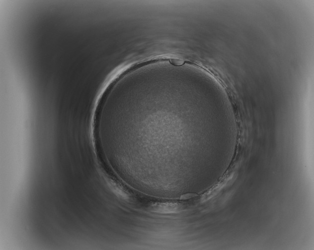 X0000115510104200911061405