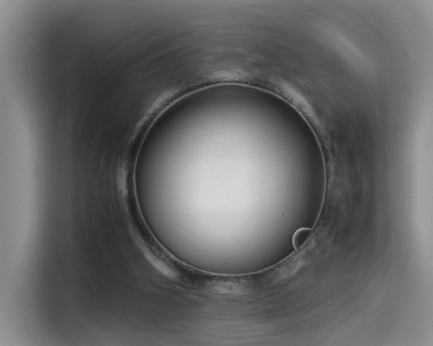 X0000115510106200911061405