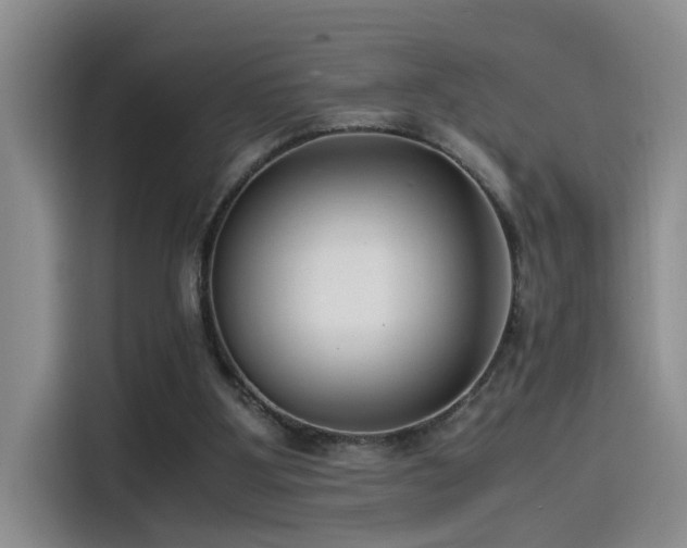 X0000115510107200911061405