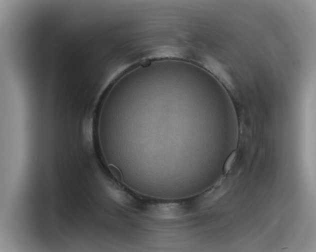 X0000115510108200911061405