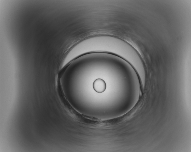 X0000115510109200911061405