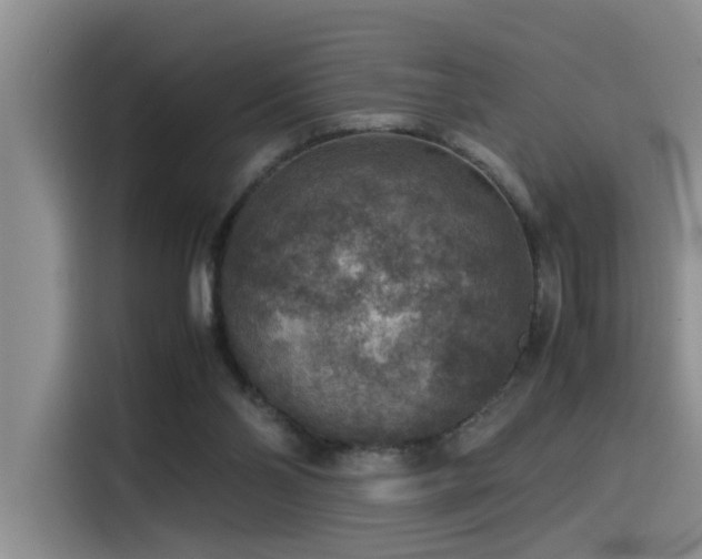 X0000115510110200911061405