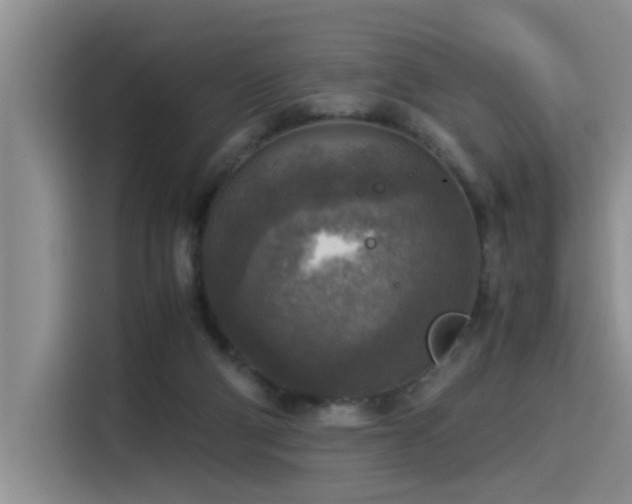 X0000115510114200911061405