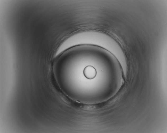 X0000115510117200911061405