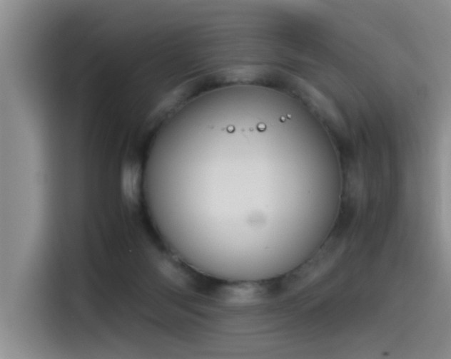 X0000115510118200911061405