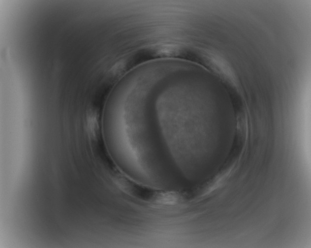 X0000115510127200911061405