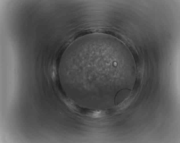 X0000115510130200911061405