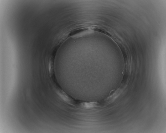 X0000115510134200911061404