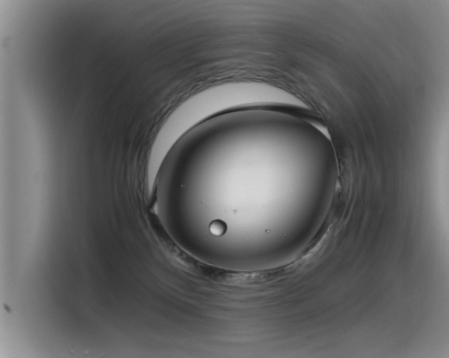 X0000115510136200911061404