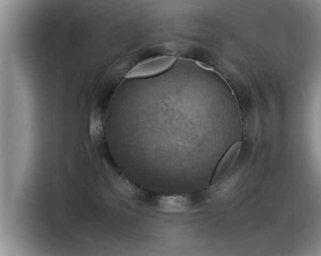 X0000115510137200911061404