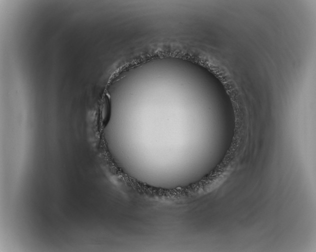 X0000115510144200911061404