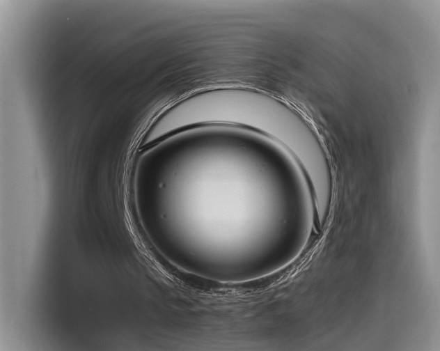 X0000115510145200911061404