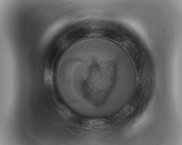 X0000115510146200911061404