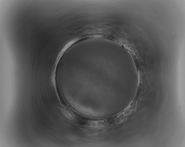 X0000115510147200911061404