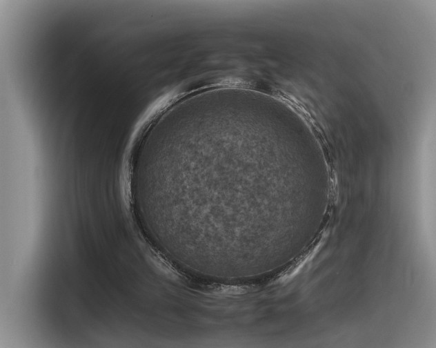 X0000115510149200911061404