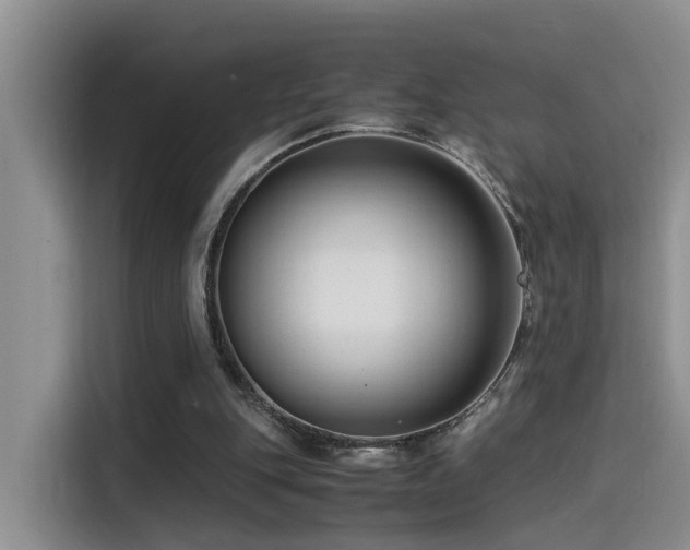 X0000115510151200911061404