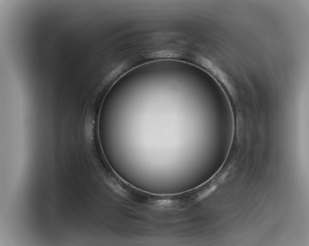 X0000115510153200911061404