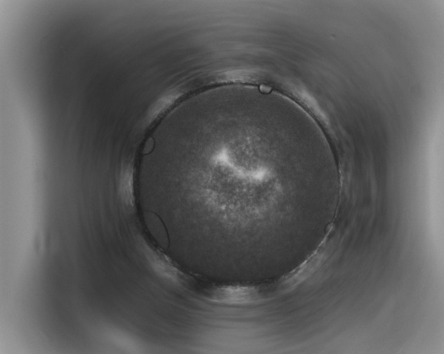 X0000115510154200911061404