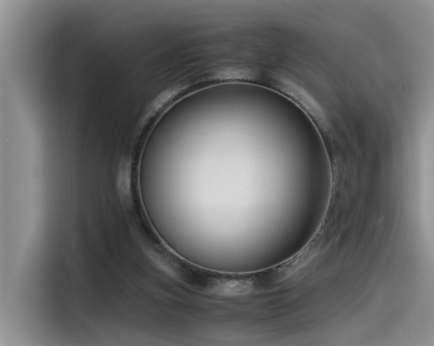 X0000115510155200911061404