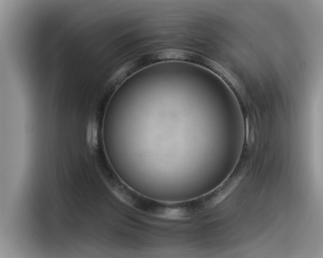 X0000115510157200911061404