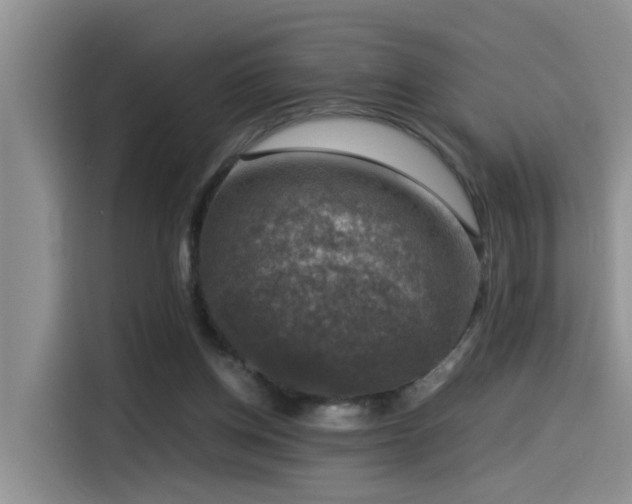 X0000115510158200911061404