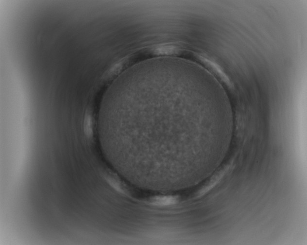 X0000115510161200911061404