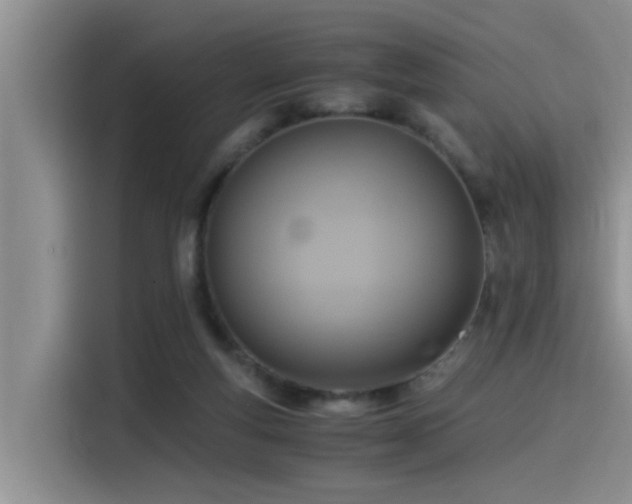 X0000115510163200911061404