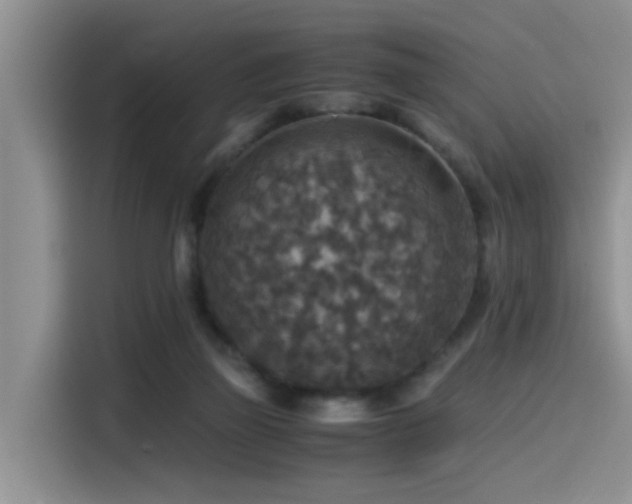 X0000115510165200911061404