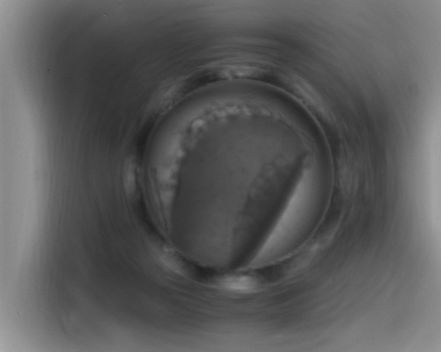 X0000115510169200911061404