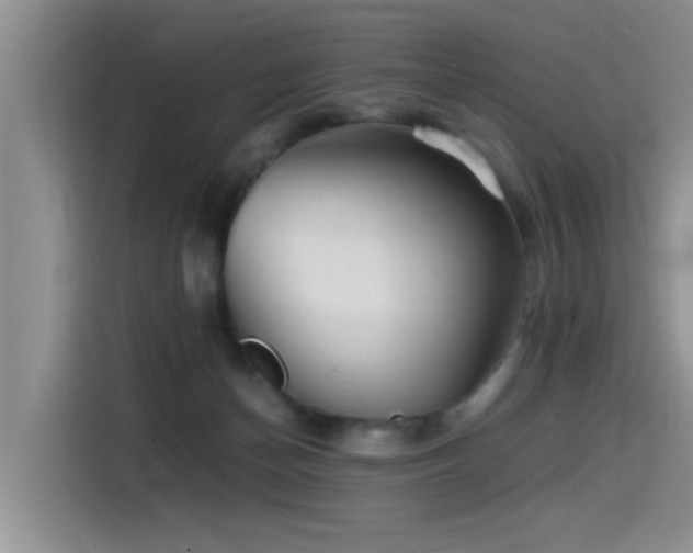 X0000115510174200911061404