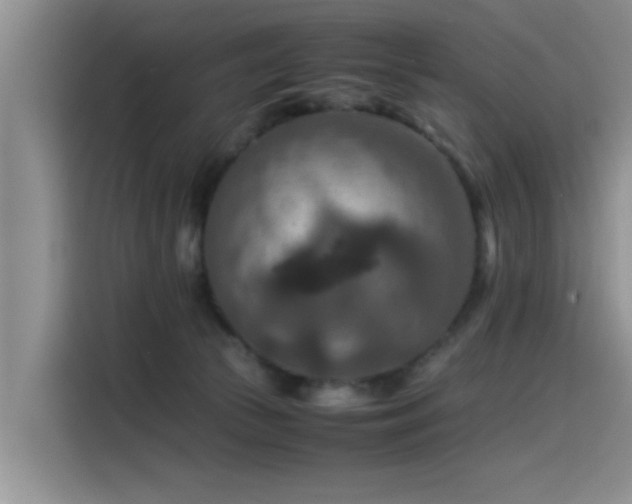 X0000115510177200911061404