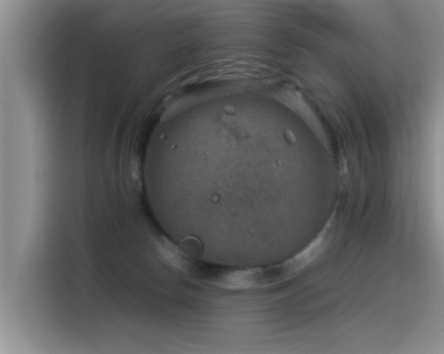 X0000115510178200911061404