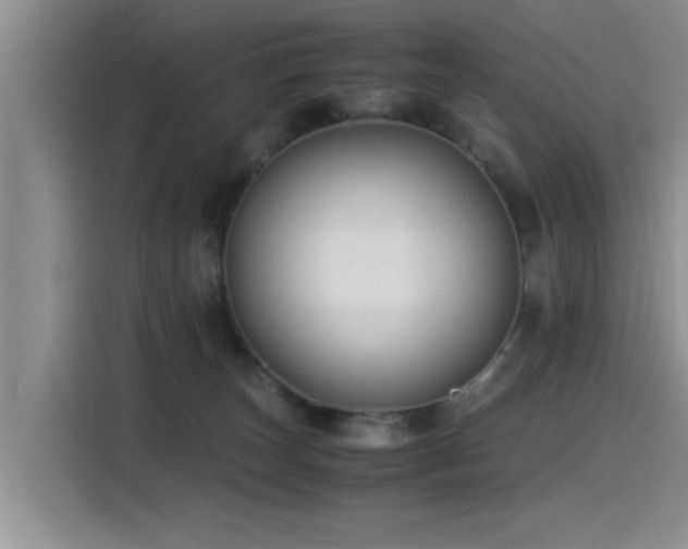 X0000115510179200911061404