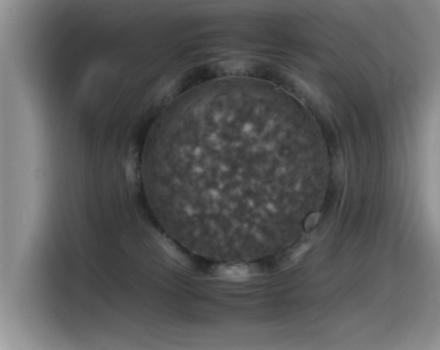 X0000115510181200911061404