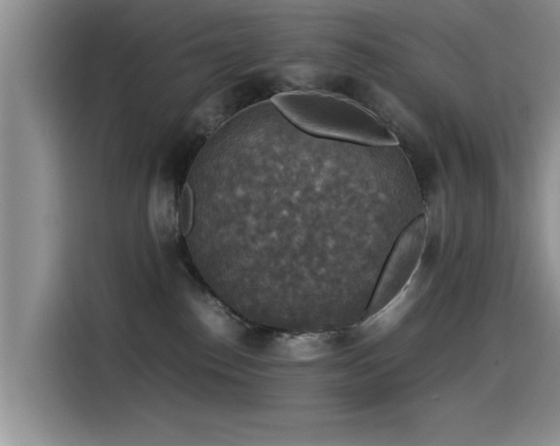 X0000115510186200911061404