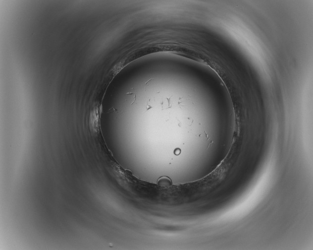 X0000115510190200911061404