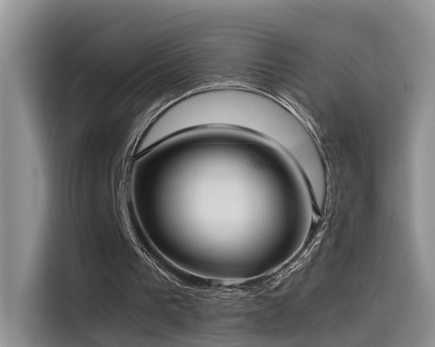 X0000115510193200911061404