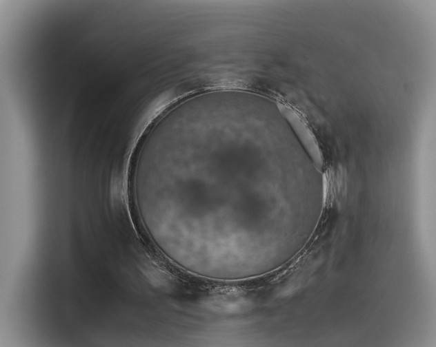 X0000115510195200911061404